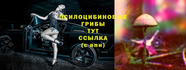 ECSTASY Покров