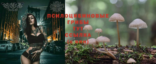 MDMA Premium VHQ Бронницы